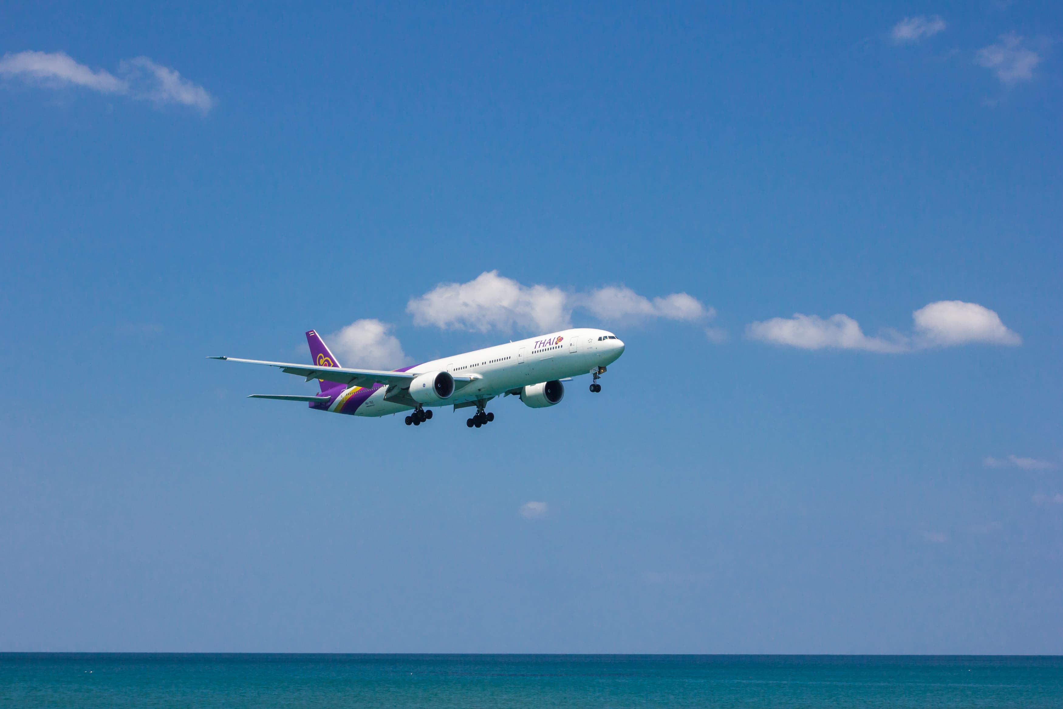 Airport Assistance & Transfers